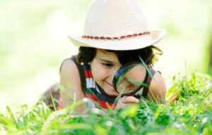 talleres para niños en la naturaleza de gran canaria